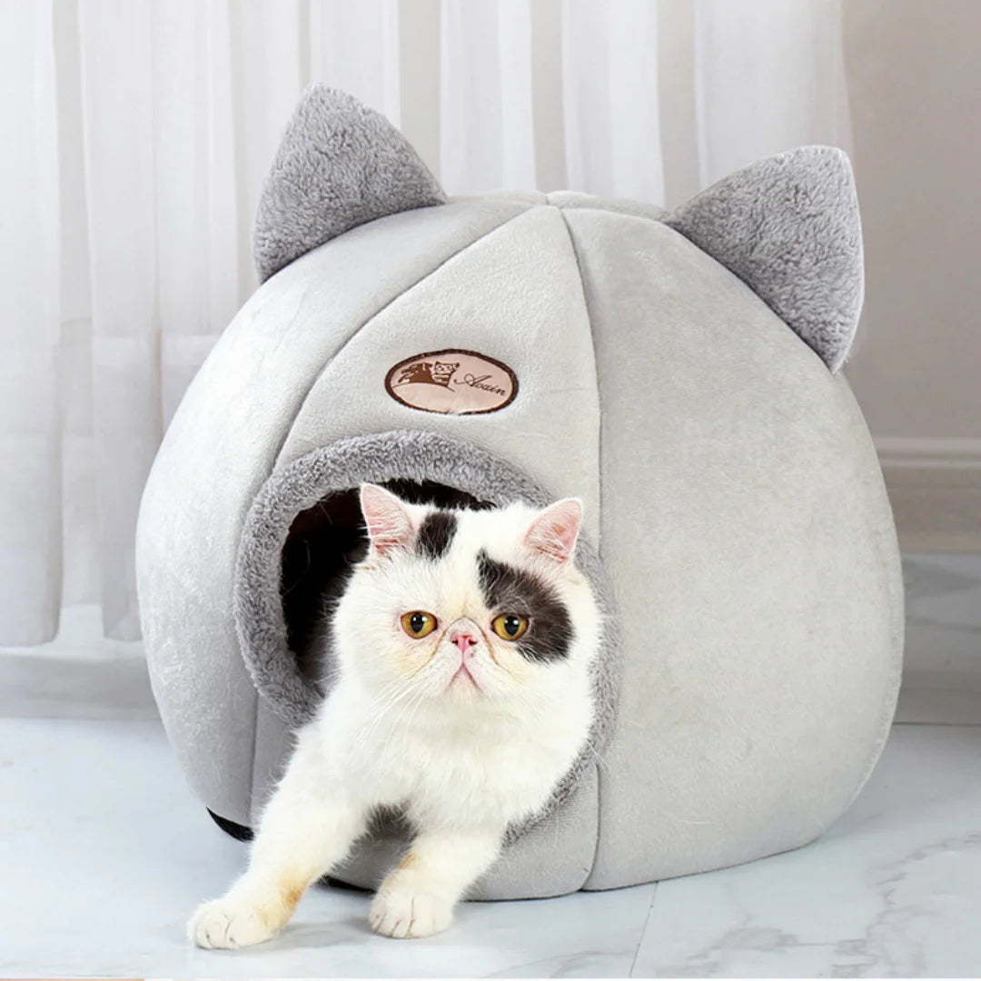 Warm & Comfortable Cat & Small Dog Covered Bed thats light and portable too