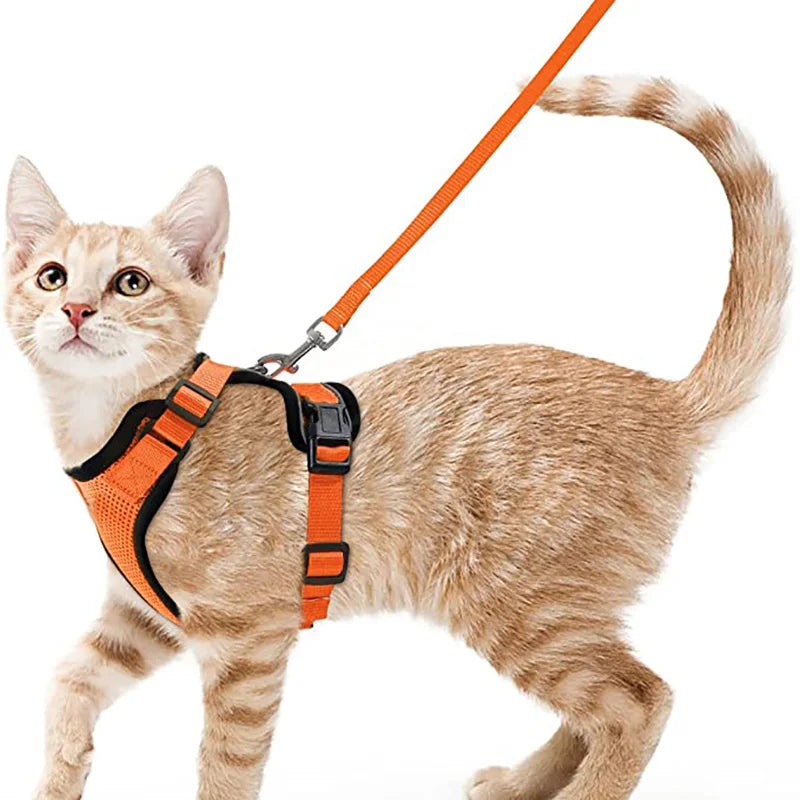 Escape Proof Soft Adjustable Vest Harnesses