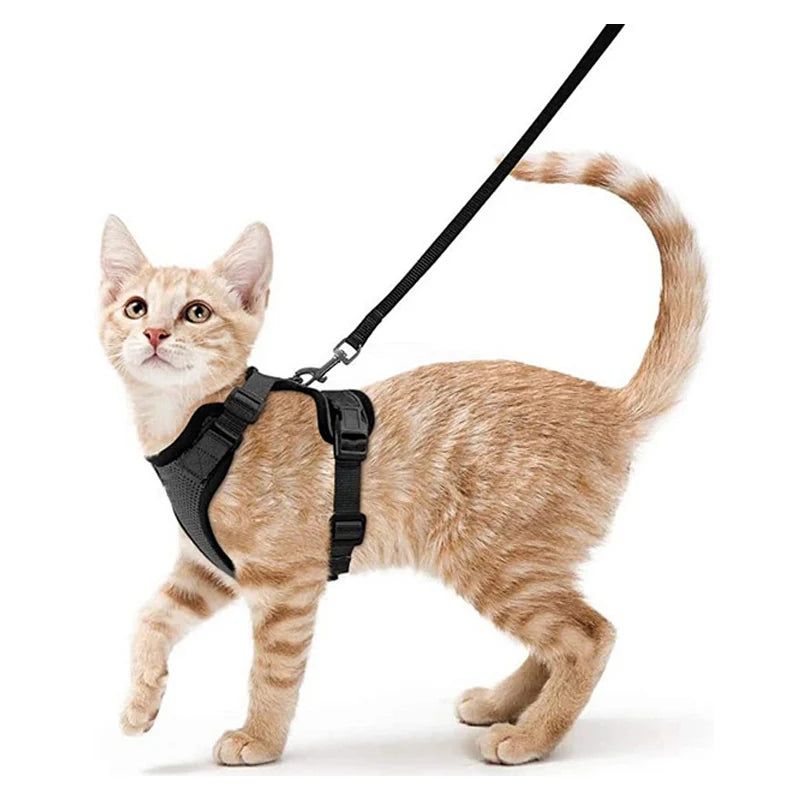 Escape Proof Soft Adjustable Vest Harnesses