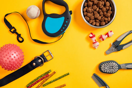 The Ultimate Guide to Essential Pet Supplies for Happy and Healthy Pets