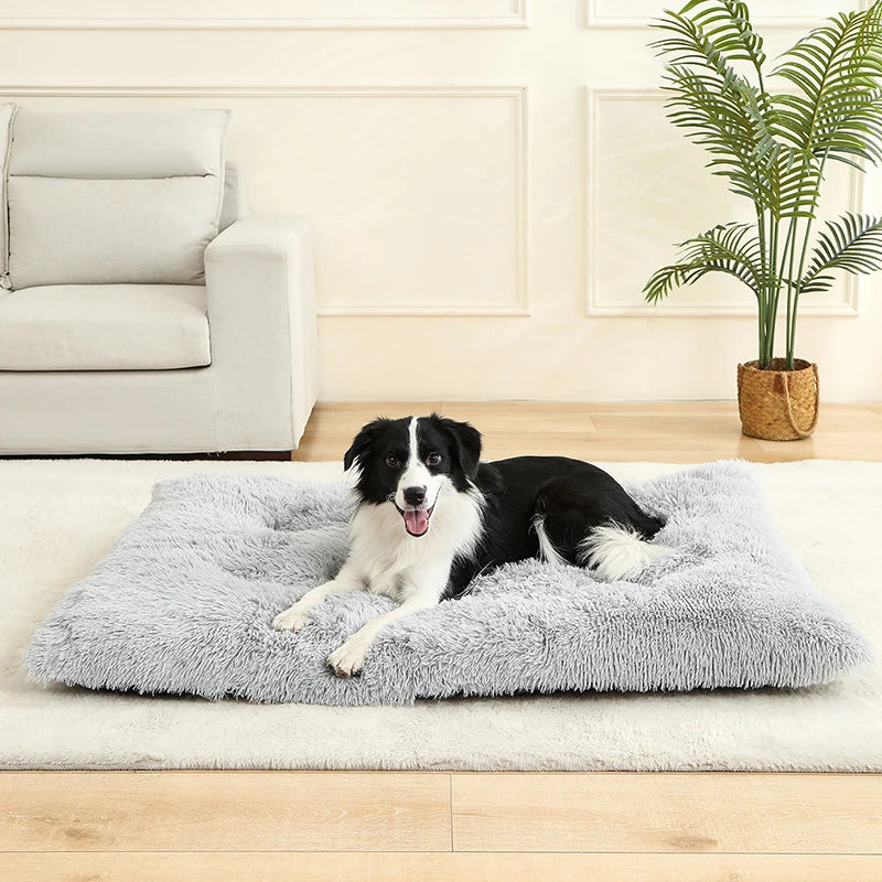 Soft Long Plush Best Pet Bed