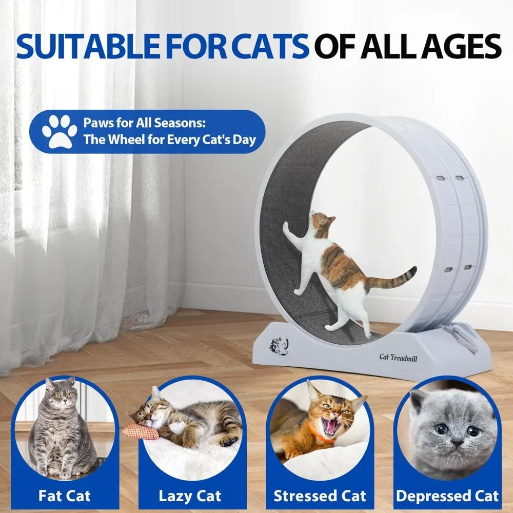 Cat Exercise Wheel Treadmill