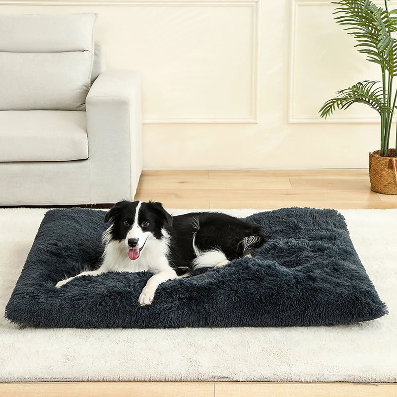 Soft Long Plush Best Pet Bed