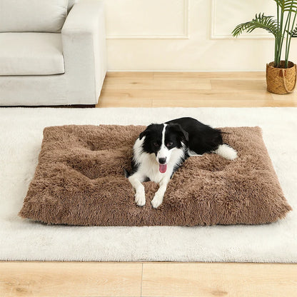Soft Long Plush Best Pet Bed
