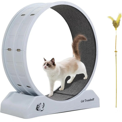 Cat Exercise Wheel Treadmill