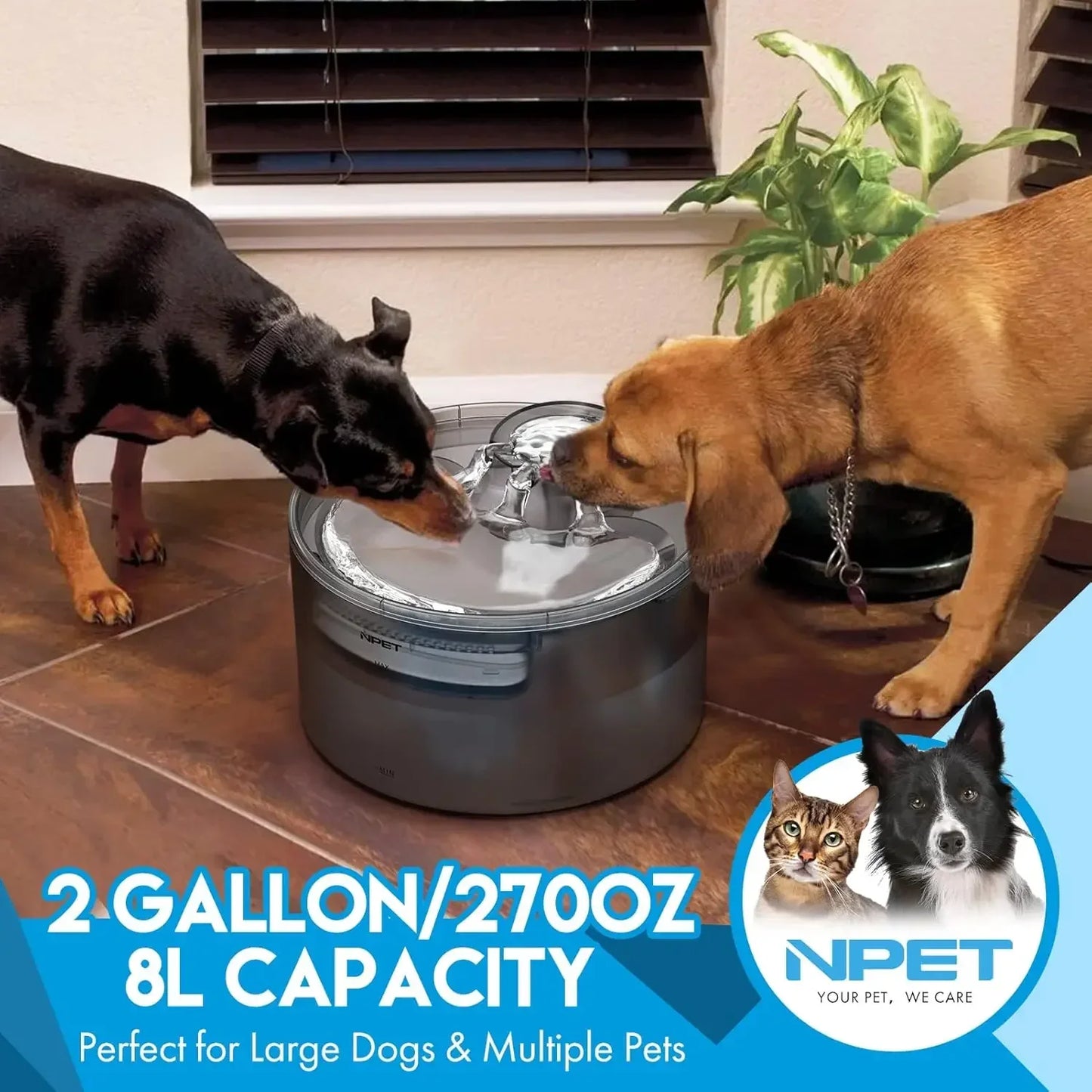 Automatic Dog Water Dispenser with Splatter Guard