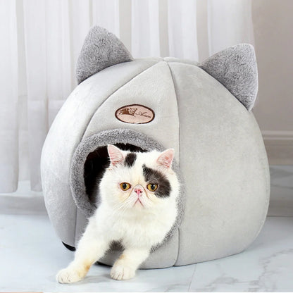 Warm & Comfortable Cat & Small Dog Covered Bed thats light and portable too
