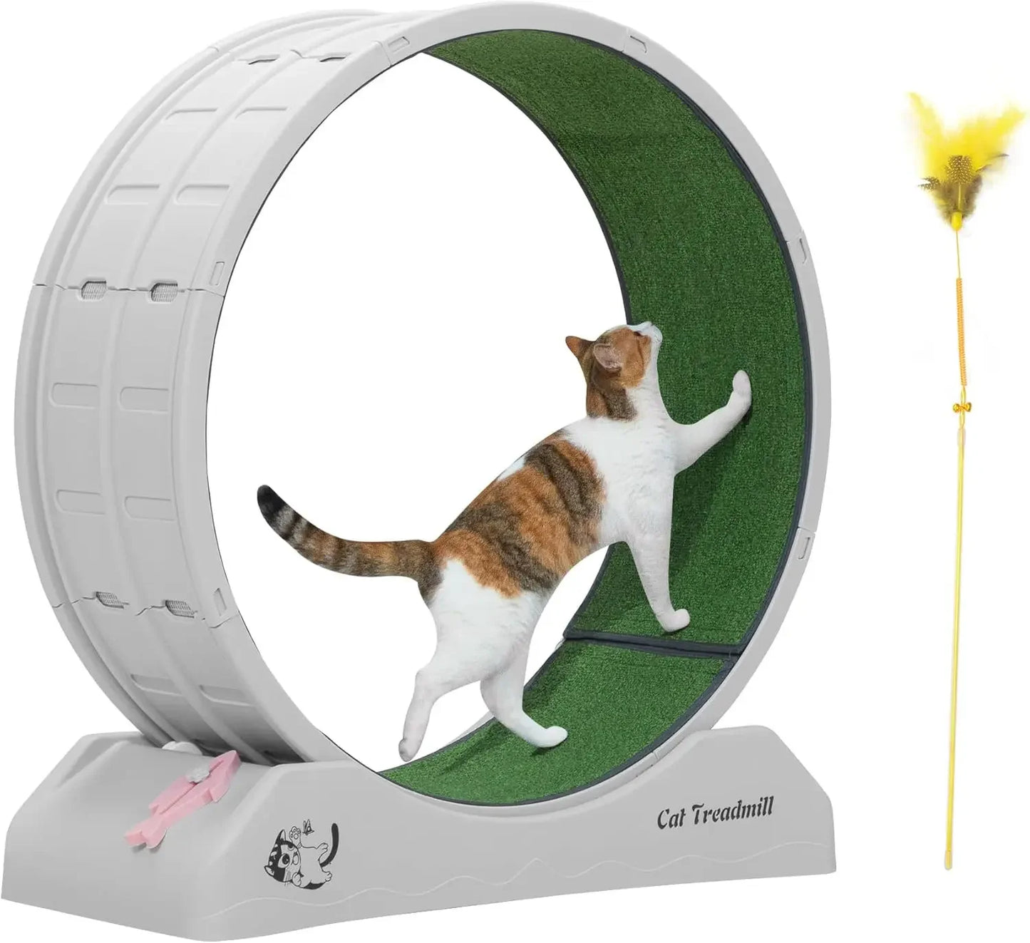 Cat Exercise Wheel Treadmill