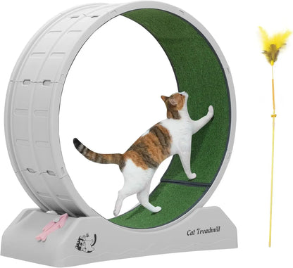 Cat Exercise Wheel Treadmill