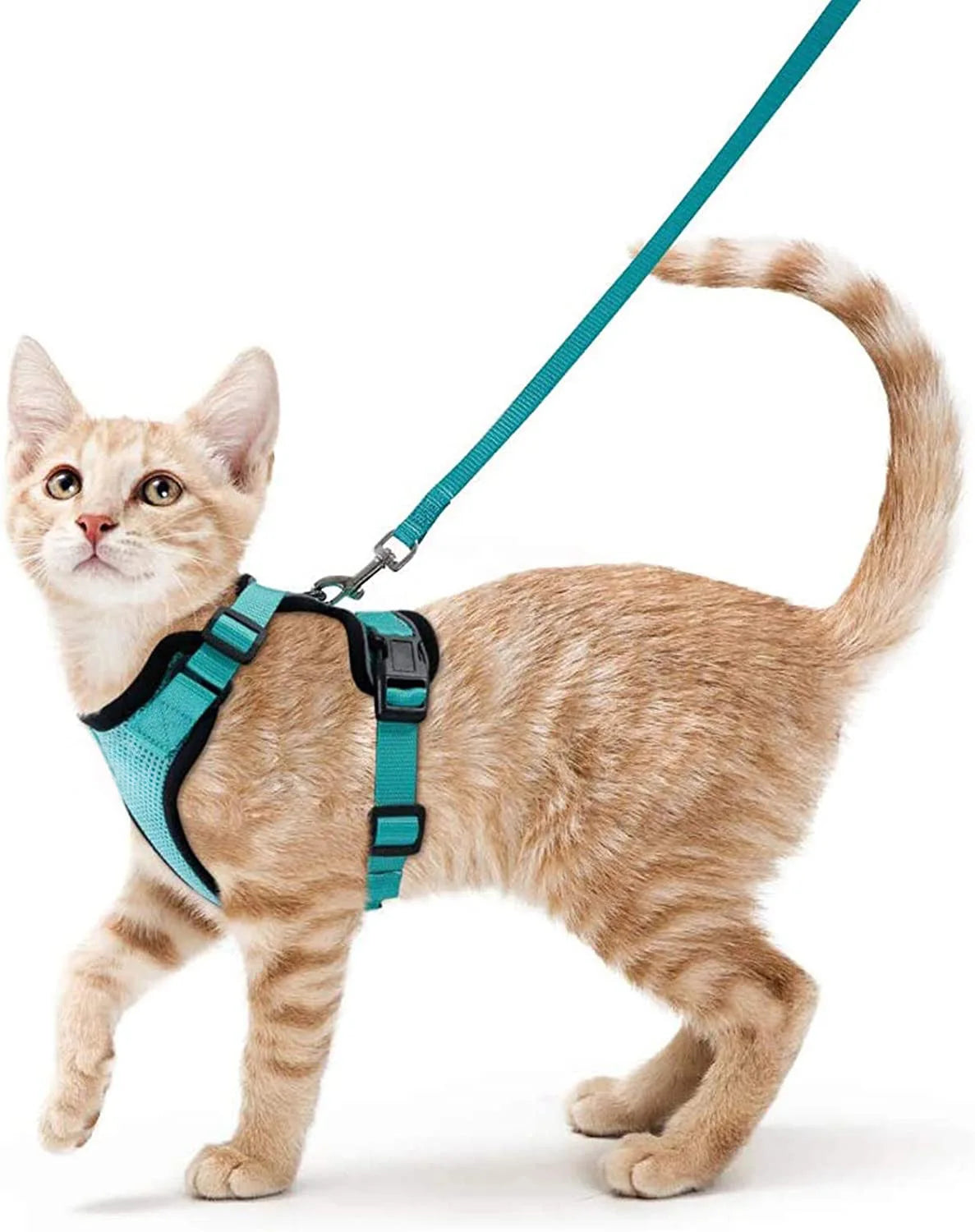 Escape Proof Soft Adjustable Vest Harnesses