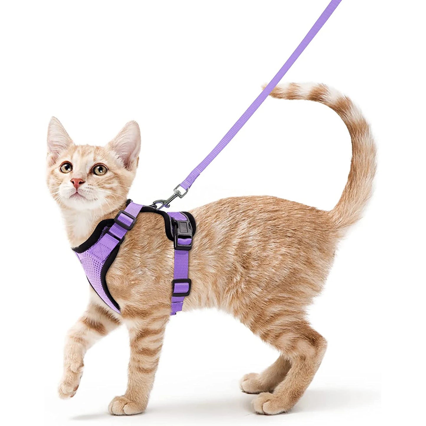 Escape Proof Soft Adjustable Vest Harnesses