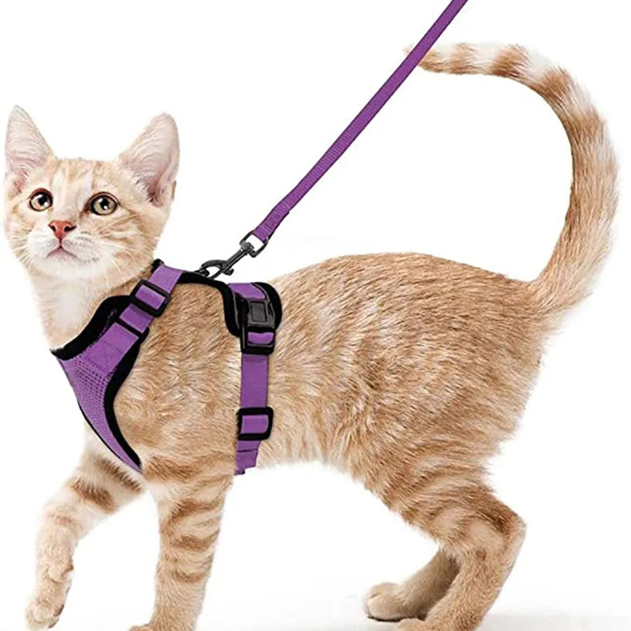 Escape Proof Soft Adjustable Vest Harnesses