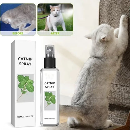 Catnip Spray helps with Anxiety And Enhances Pet Vitality Mint Scented