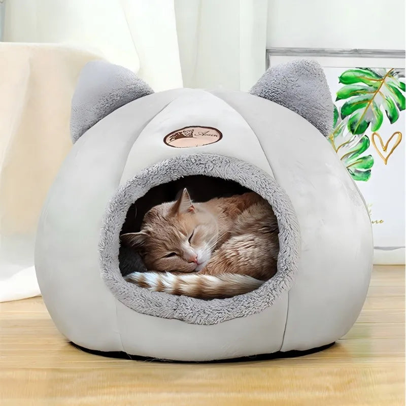 Warm & Comfortable Cat & Small Dog Covered Bed thats light and portable too