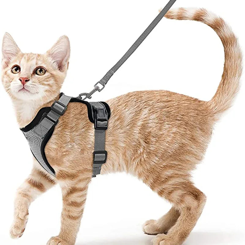 Escape Proof Soft Adjustable Vest Harnesses