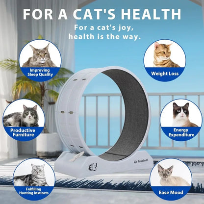 Cat Exercise Wheel Treadmill