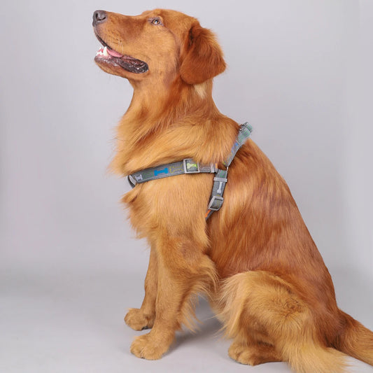 Colorful Bone Tripod Pet Harness