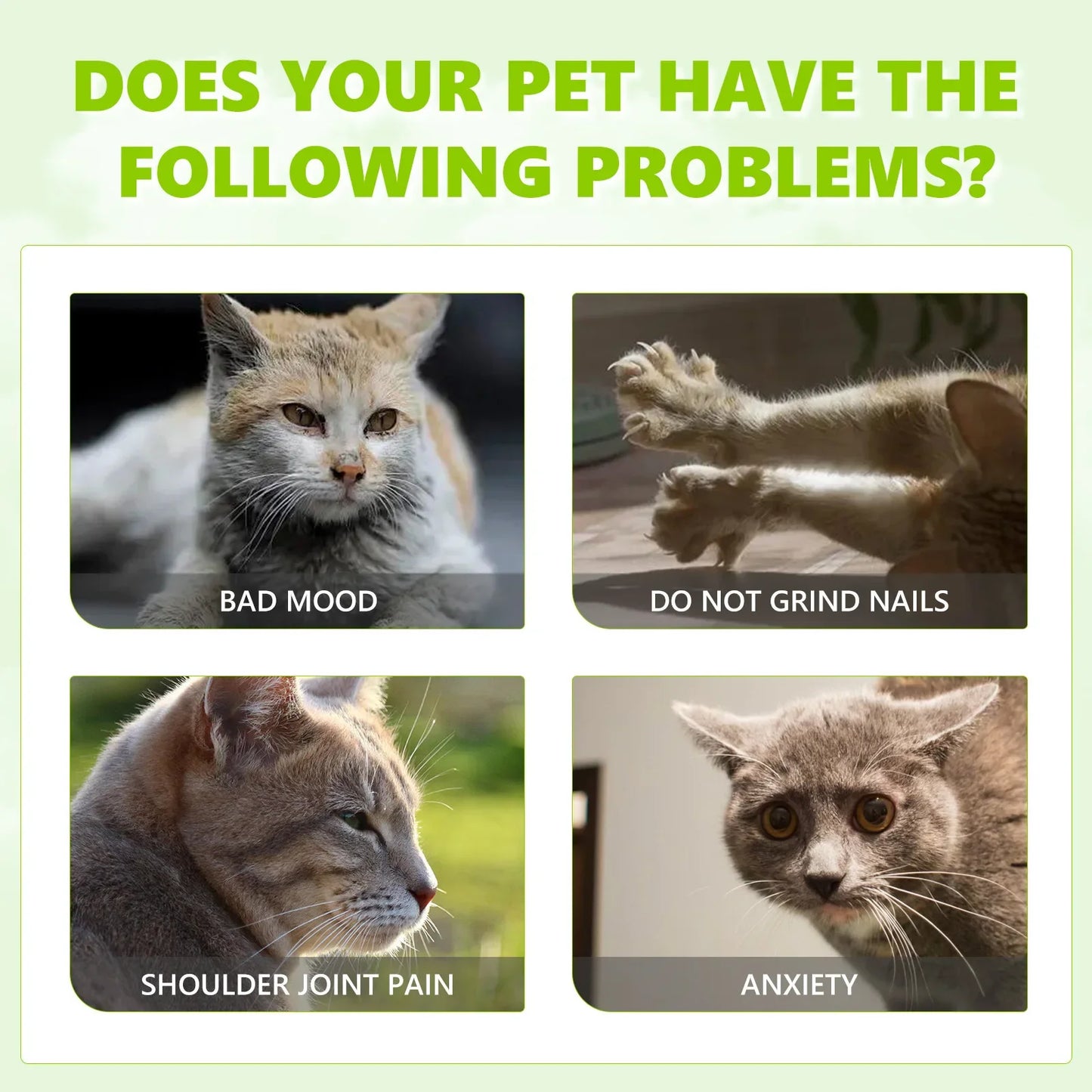 Catnip Spray helps with Anxiety And Enhances Pet Vitality Mint Scented