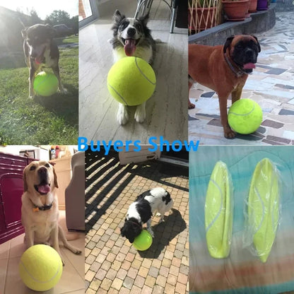 9.5Inch Giant Tennis Ball Launcher Pet Inflatable Toy