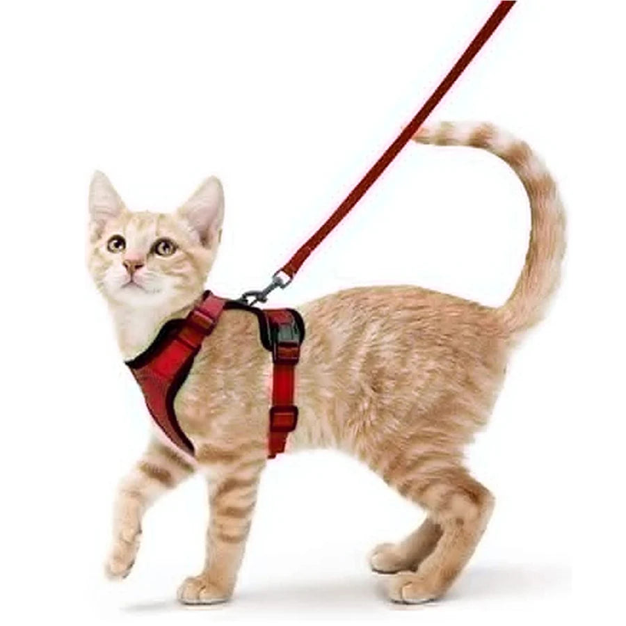 Escape Proof Soft Adjustable Vest Harnesses